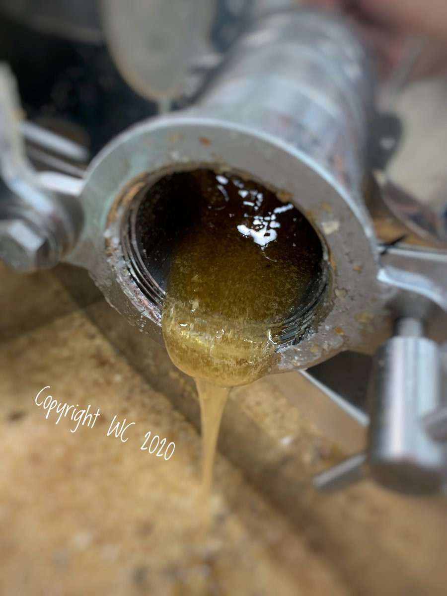 Hedgerow_honey's tweet photo. First honey crop from our 3 oaks apiary at Soulton Hall . Beefarmer Johns pleased and it tastes yummy 😋
#soultonlongbarrow #soultonhall #timashton #beespollinate #beefarmerjohn #honey2020 #workingwithnature #workingwithfarmers #localbusiness https://t.co/s4bvXhtVT1