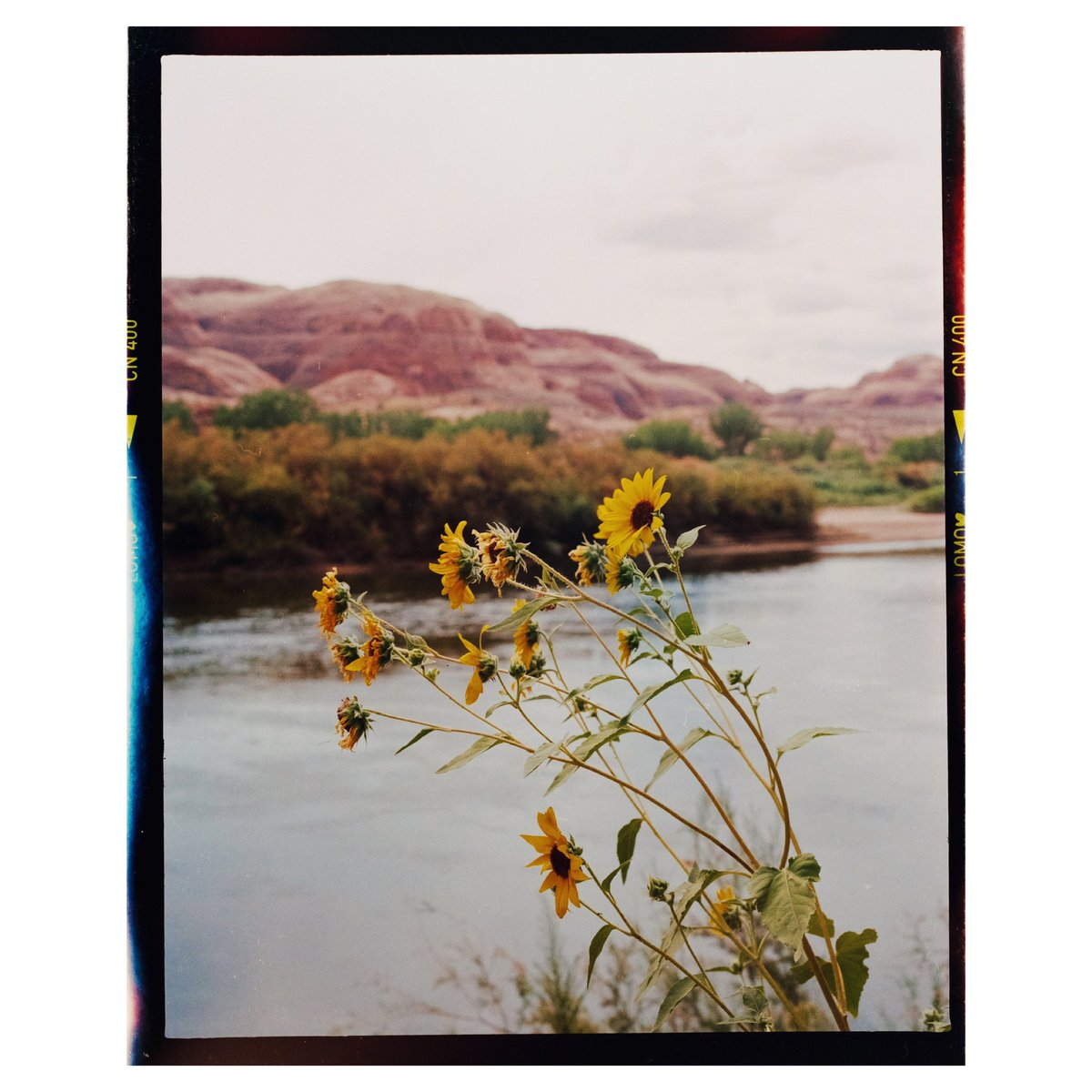 davistylerfilm's tweet photo. if i cross 2k on here this weekend i’ll give 2 film prints to a random follower who retweets this 🥰 https://t.co/Y2jKj74fsu