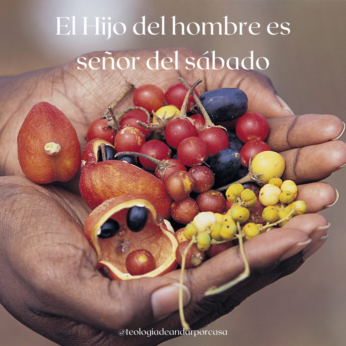 teologiadapc's tweet photo. ¿Por qué hacéis lo que no es lícito en sábado?

#aorarseaprendeorando #catholiclife #catholic #evangeliodeldia #tiempoordinario #lucas #happyday #foreverybody #sabado #señor https://t.co/ZoTb8Oxhe4