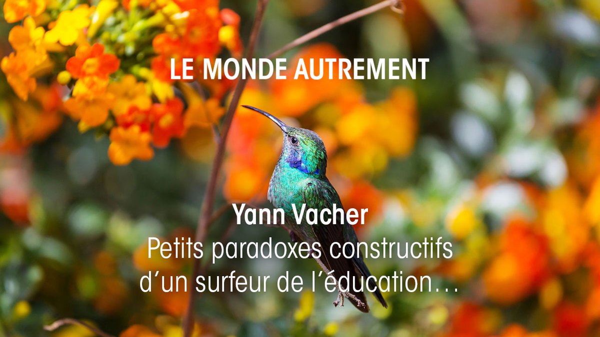 IterAgir's tweet photo. Yann Vacher : Petits paradoxes constructifs d’un surfeur de l’éducation… https://t.co/rv8SB7uGVy https://t.co/fEyQCI2iY9