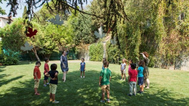 Belçika’da yapılan bir araştırmada yeşil alanlarda büyüyen çocuklarının, betonarme yapılarda büyüyen yaşıtlarına göre daha yüksek IQ seviyelerine sahip olduğu bulundu.