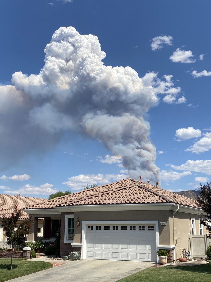 Matt Guilhem tweet media