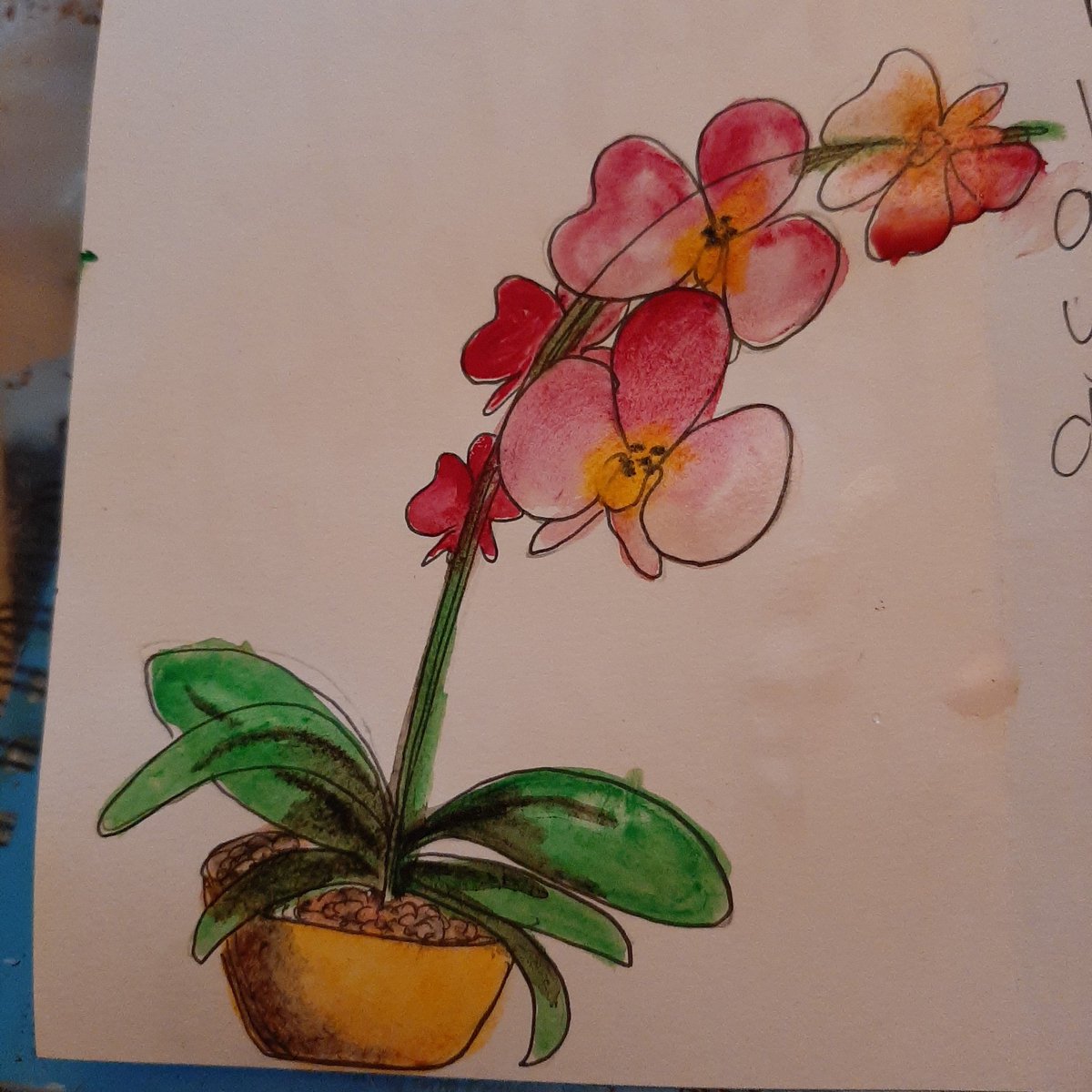 kellypuff__'s tweet image. 