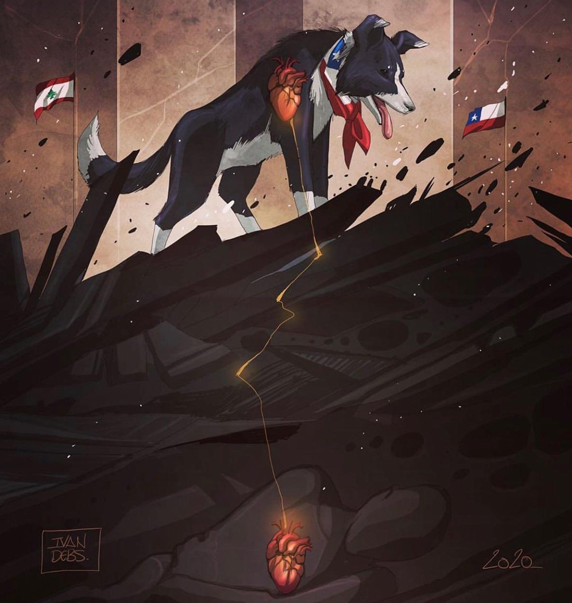 RinconSalfate's tweet photo. Homenaje a #Flash, #ElPerroRescatistaChileno, que es protagonista en #Beirut. Se trata de un border collie que pertenece al grupo de rescate chileno #LosTopos y que detectó señales de vida en medio de los escombros. Los escáneres permitieron detectar latidos cardíacos. https://t.co/FG842Y1mFu