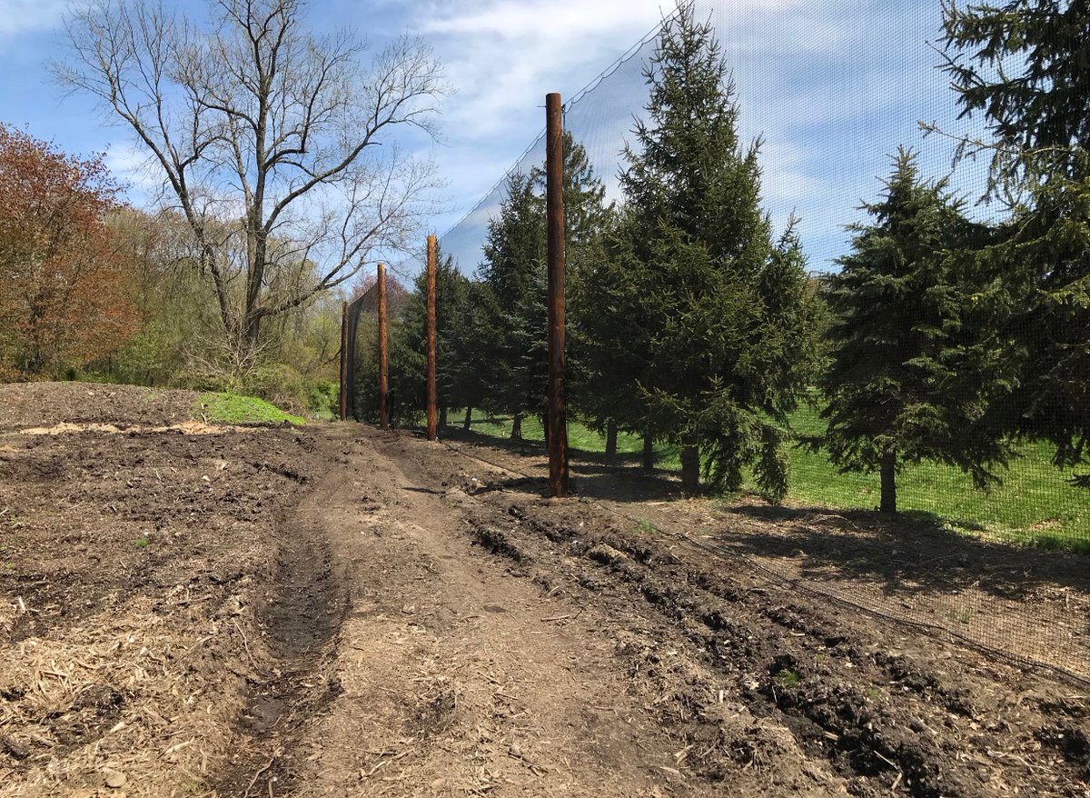 MidwestNetting's tweet image. This is a protective golf netting system for The Stanwich Golf Club in Greenwich, Connecticut. We listen to your needs then brainstorm and custom design netting systems of all kinds unique to your facility! #sportsnetting
#golfnetting #protectivenetting