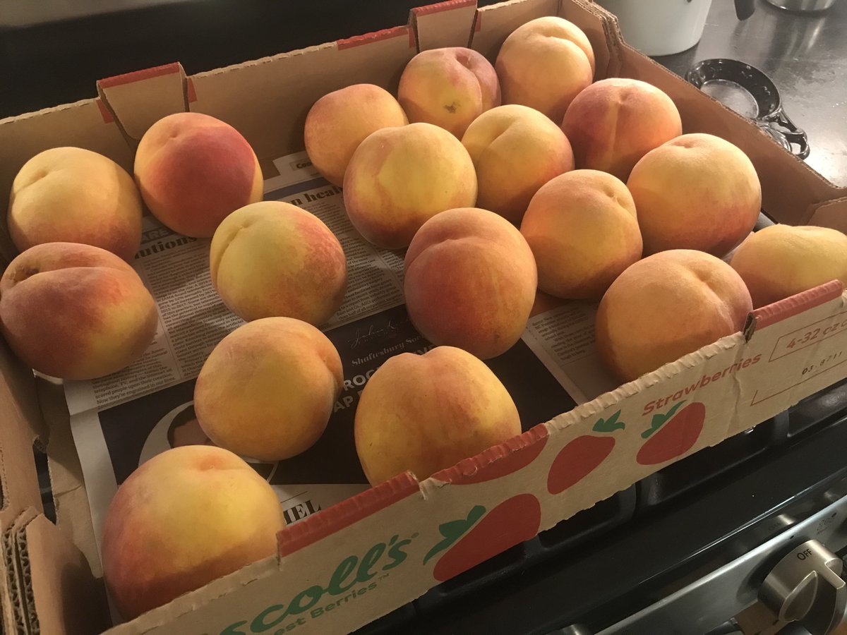 beckigray's tweet photo. May be last peaches of the season, I am told. @NCFarmersMarket #enjoywhilewecan https://t.co/HS4rjBfbcA