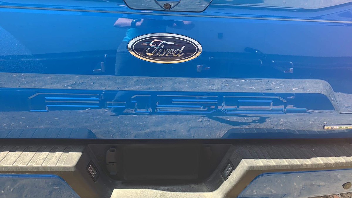 magnumtint_'s tweet photo. This F-150 got a bit of a tailgate upgrade. Let us know what you think. #magnumtint #ihearttint #paintprotection #autotinting #windowtinting #ford #fordf150 #3draiseddecal https://t.co/RaAWlI34Ru