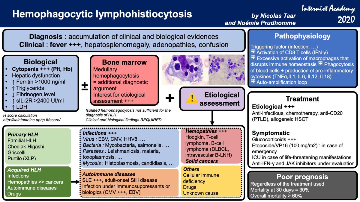 Hemophagocytic lymphohistiocytosis #HLH- By Nicolas Taar (Fellow in Infectious Diseases, Lille, France) and Noemie Prudhomme (Fellow in Geriatry, Lille, France) #hemophagocytosis #lymphohistiocytosis #InternistAcademy