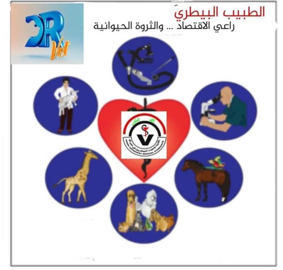 DrZahraaJAlsaa1's tweet photo. #التدرج_الطبي_البيطري_مطلبنا https://t.co/1xhU8Szj1h