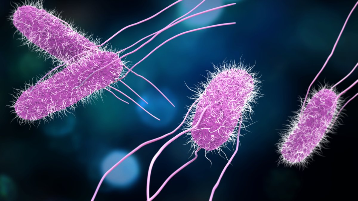 Nontyphoidal #Salmonella as a Cause of Mediastinal Abscess in a Patient With Extensive Cardiac Surgery bit.ly/3bqFT8B @Medseals @Sharanyah #foamed #MedicalJournal #MedicalScience #MedicalResearch #meded #medicaleducation #medicine #journalofmedicine #research