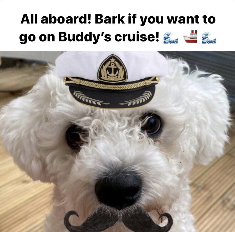 petzbe's tweet photo. All aboard! Join Captain Buddy and other pets on Petzbe, the only app just for pets! #petzbe #nohumansallowed https://t.co/eoB4oyeaqP