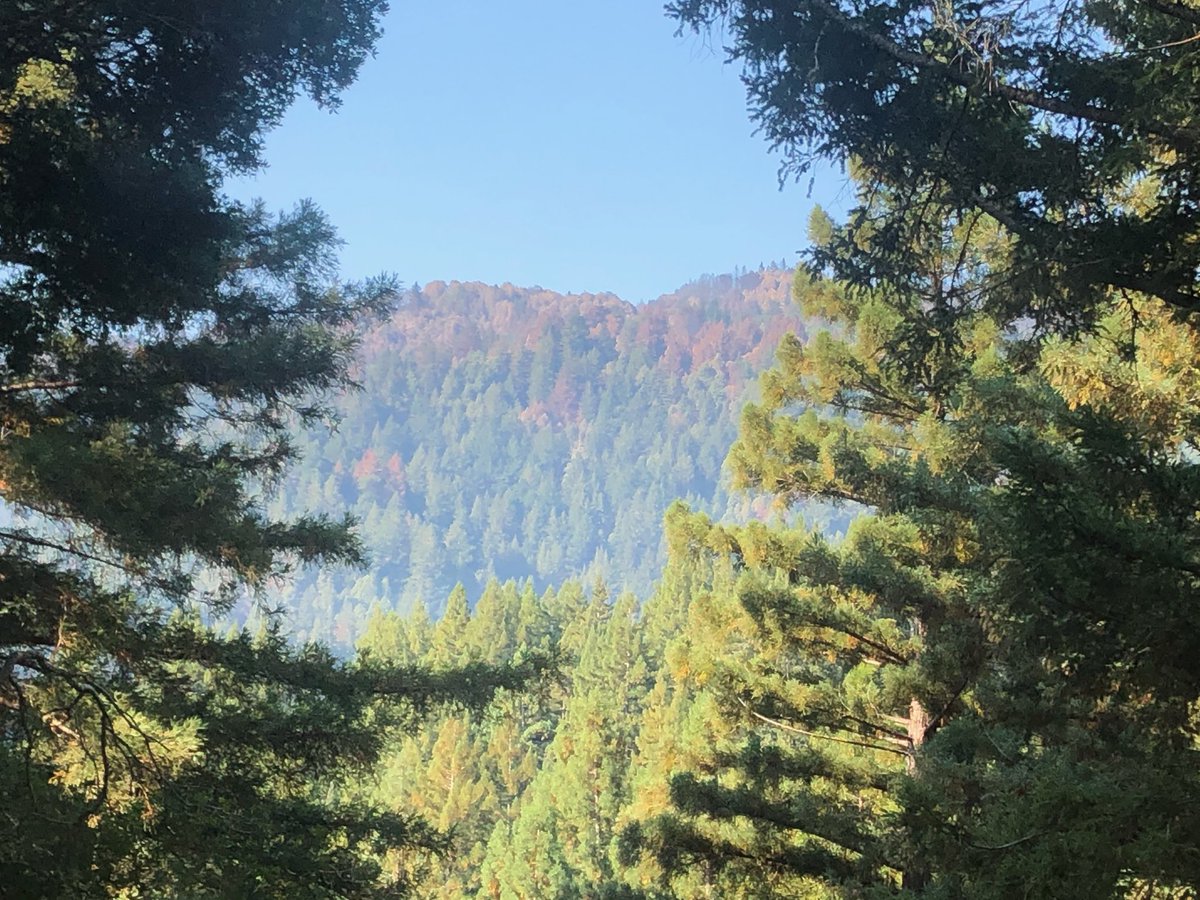 Quinn_Nature's tweet photo. The #CZULightingComplex is not completely contained. We are just over 60%. But as people return to their homes, the #recovery is starting. Lots of clean up, sadness and thankfulness for our beautiful mountains.😭🙏 #SCMSTRONG #SCCSTRONG @CALFIRECZU @sccounty https://t.co/UOoPD5vNPY