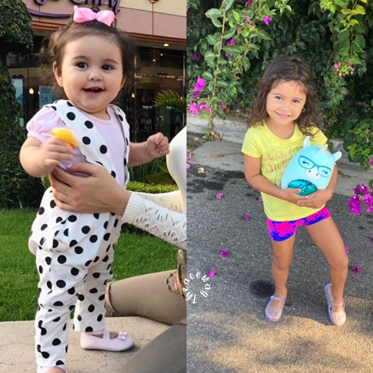 theaceway__'s tweet photo. elle is getting so big 😫🥺 @CatherinePaiz @AustinMcbroom https://t.co/CYzyULQTYV