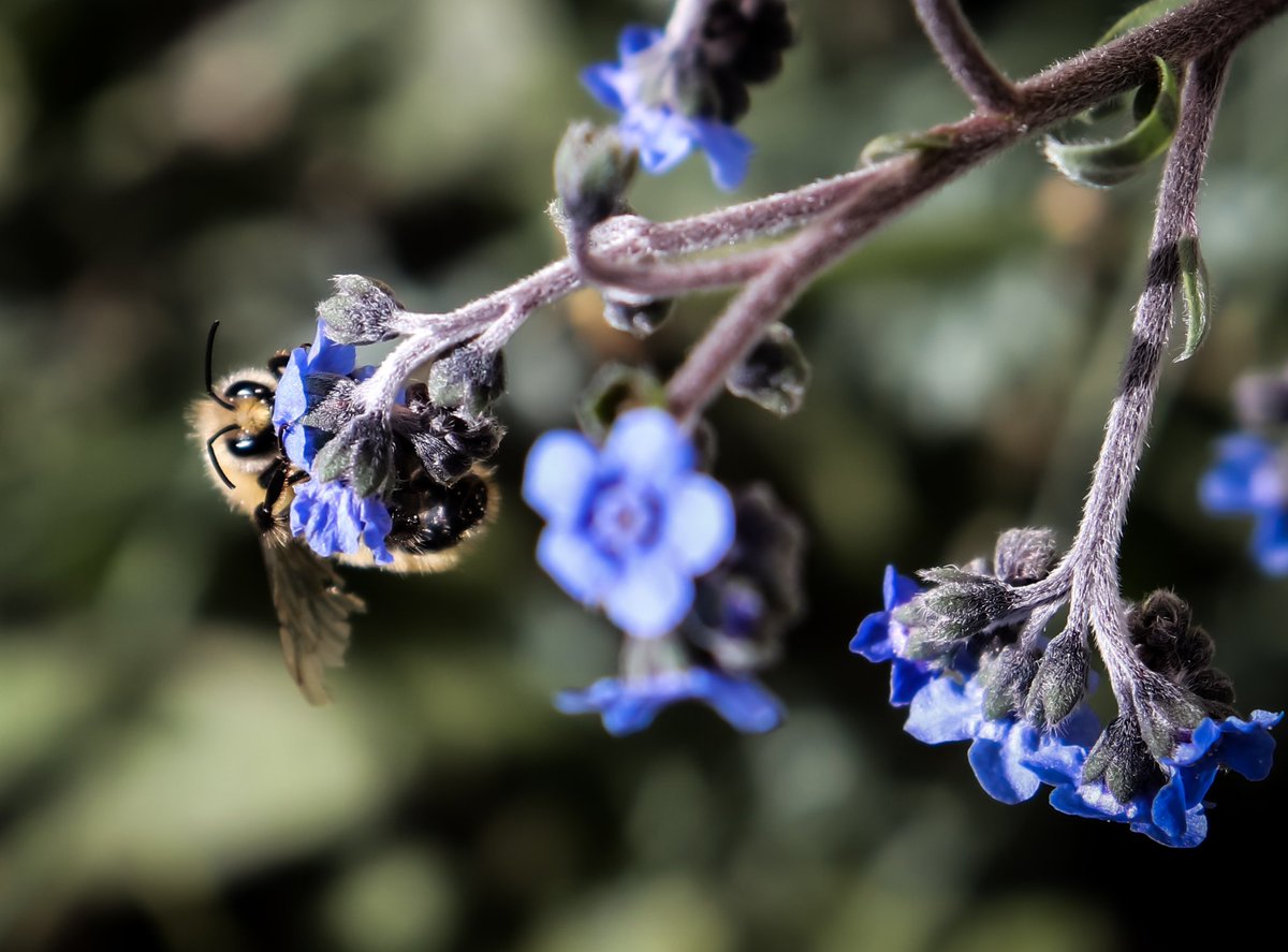 Kym 🌙 tweet media