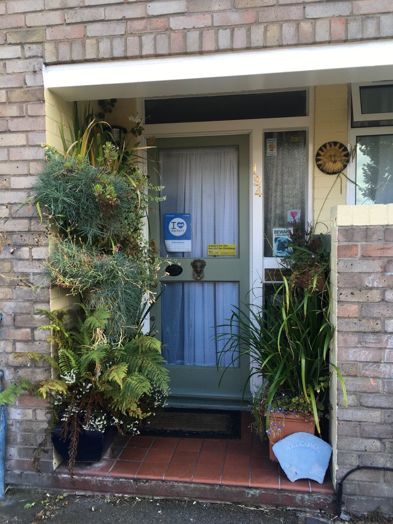 10xGreenerE5's tweet photo. Imaginative and welcome planting in a difficult spot - north-facing and little light or water. #10XGreener #claptonparkestate https://t.co/N5nDxGnPtB