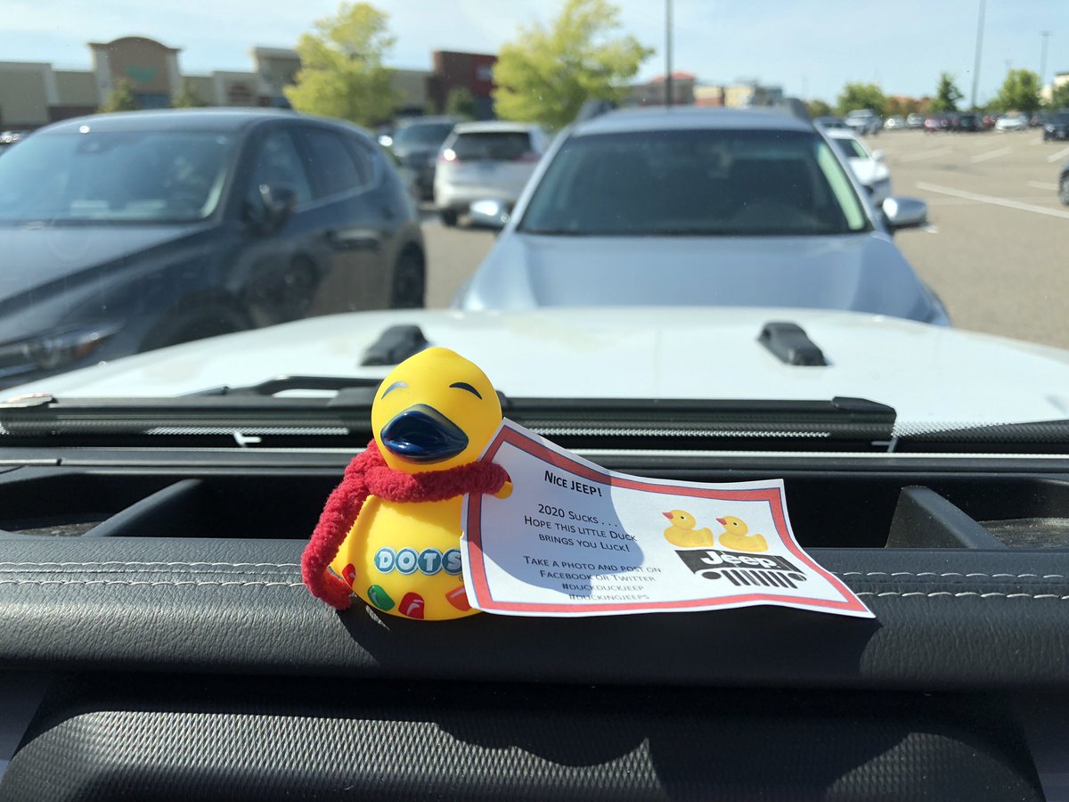 Angie Steen tweet media