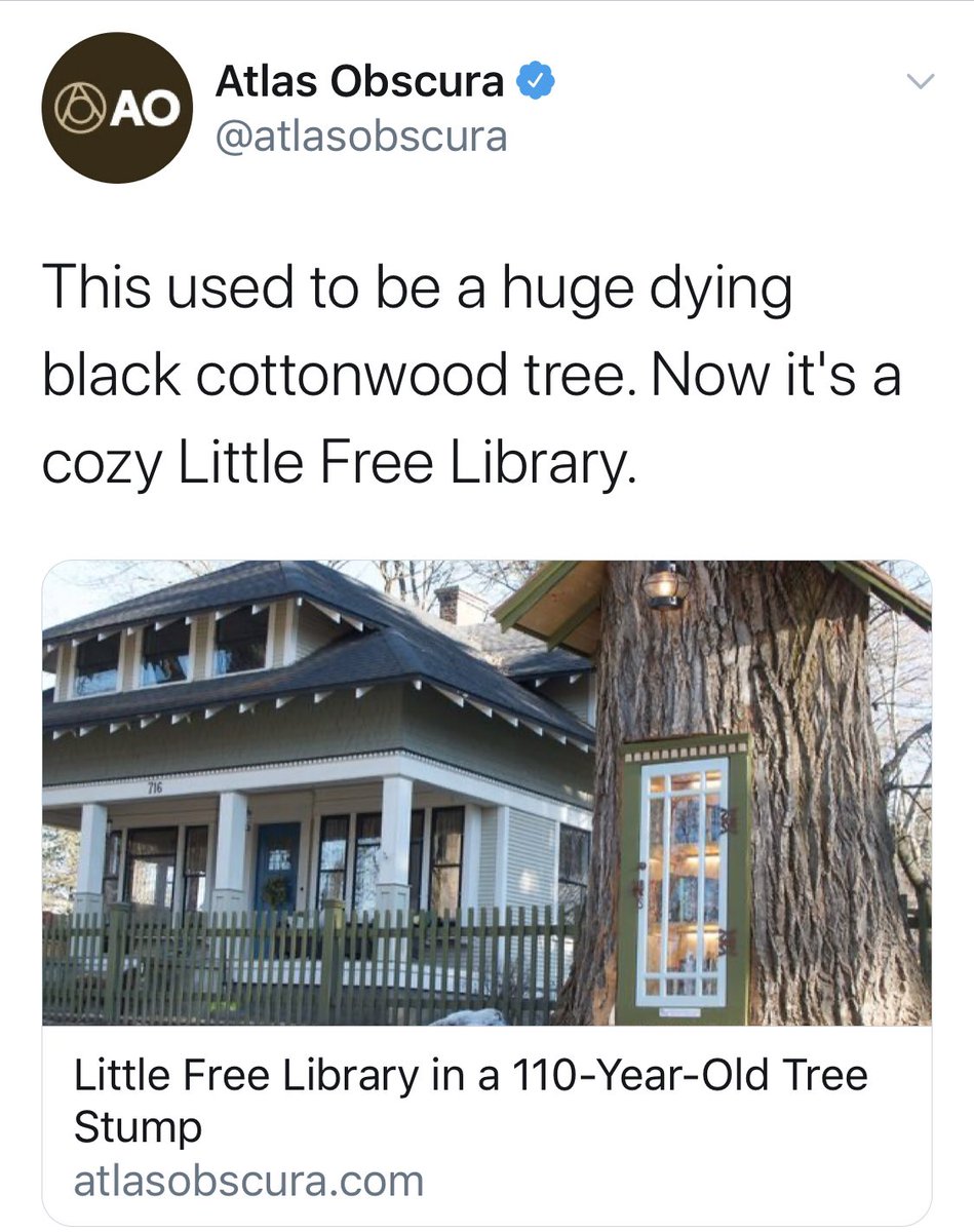 Little Free Diverse Libraries Canada tweet media