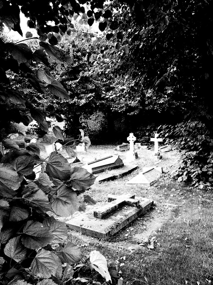 Among our dead, life goes on, as trees stretch ever upwards to the sky and plants spread their tendrils over both the softened soil and the hardened rock, reminding us of hearts that once echoed the same...

#graveyard #dead #death #blackandwhitephotography