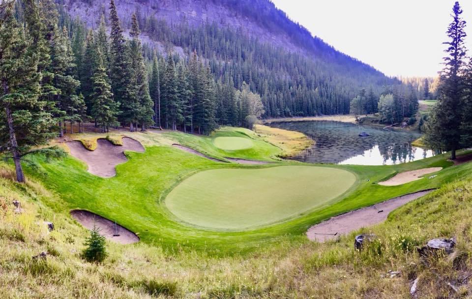 EDI__ADI's tweet photo. BANFF SPRINGS
The day I visited my greatest Par 3 in world golf IMHO, the one I most wanted to see and the one I wish I had designed
___________________________________________ #banffsprings #devilscauldron #mygolffavourites 🇨🇦🇨🇦🇨🇦🇨🇦 https://t.co/19eOsU0ZOW