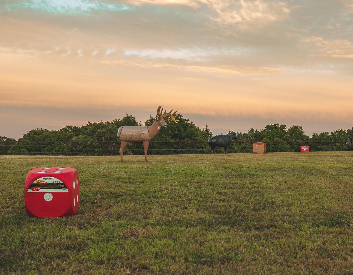 MorrellTargets's tweet photo. What's in your archery range?? 🎯
📷 @buckventures
#morrelltargets #huntingstartshere #buckventures #archeryrange #bowrange #3dtargets #3drange #bowhunt #archerypractice #aimsmallmisssmall #bowpractice #anarrowaday #staydialed https://t.co/vtZGVsMEpz