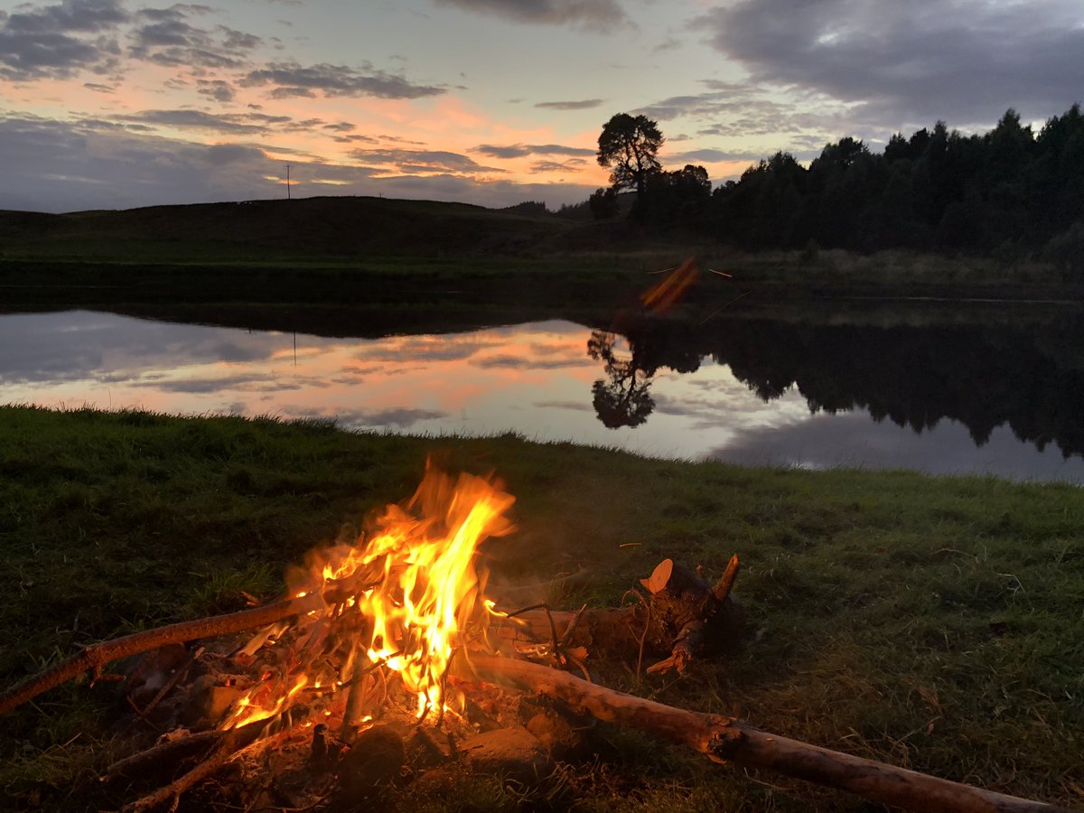 Bryan Gullan tweet media