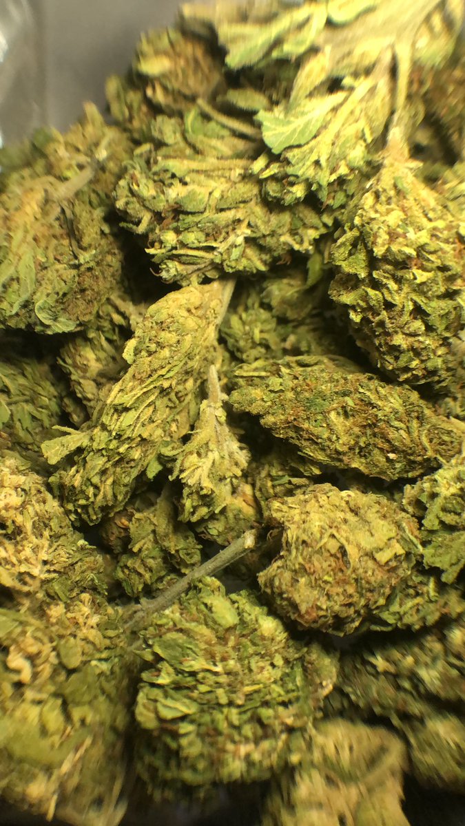 _stoners_420's tweet photo. Don’t panic it’s organic🌳✨ https://t.co/5rAfl244DQ