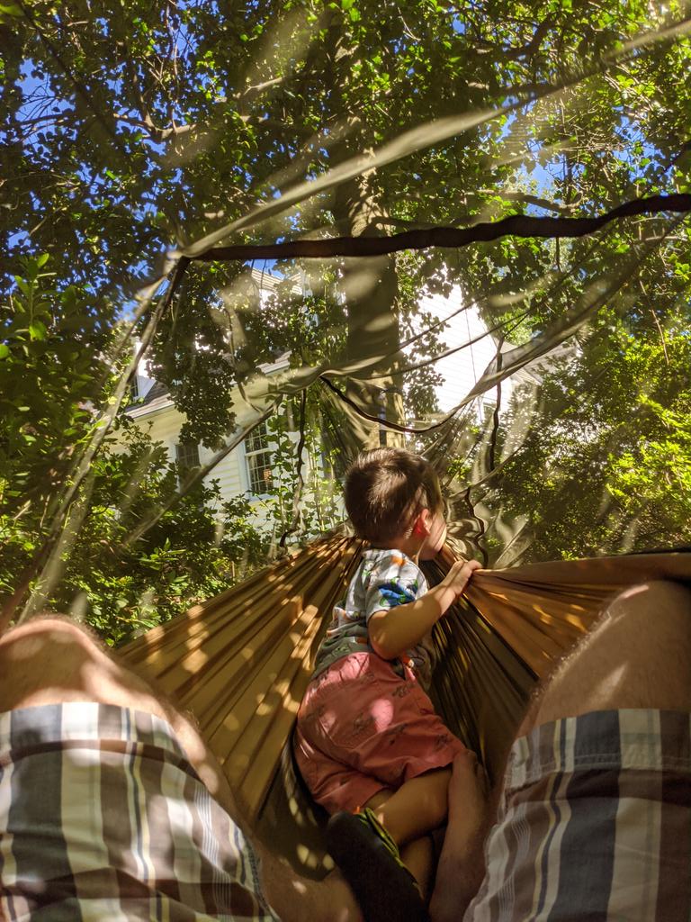 Andrew J. Pierce tweet media