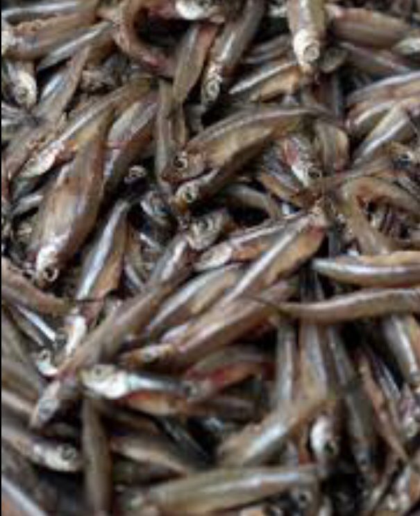 KgosidintsiRese's tweet image. Gatwe #TeamKO thotse e bonwa ko steichaneng ba bata phasele ee,ereng seafood mo baneng loneng? 😂😂😂
#TheCookoff 
#TeamKG