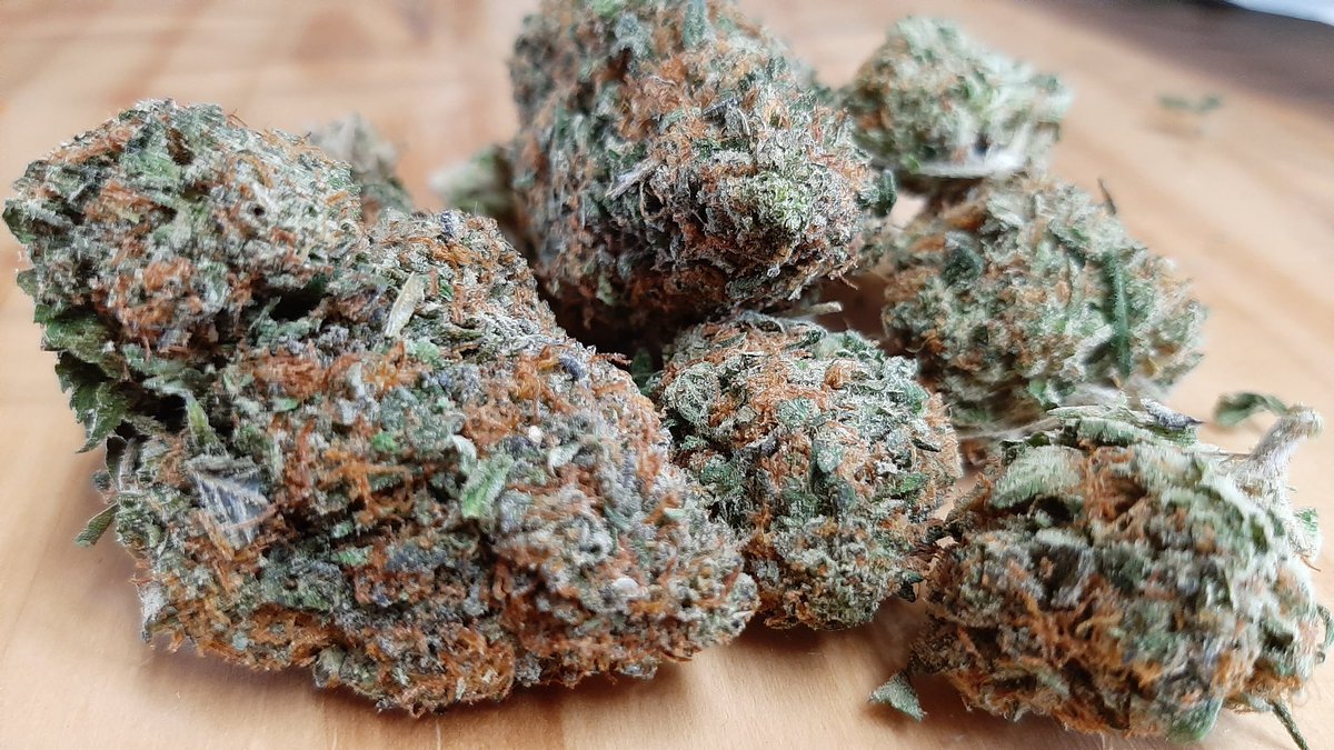 WinterSomers's tweet photo. The day has been a lot brighter because of weed 💨💨💨💨 if you get the chance to get the strain Watermelon you won't be disappointed 🤤 #Stonerfam https://t.co/VPh7czBRbd