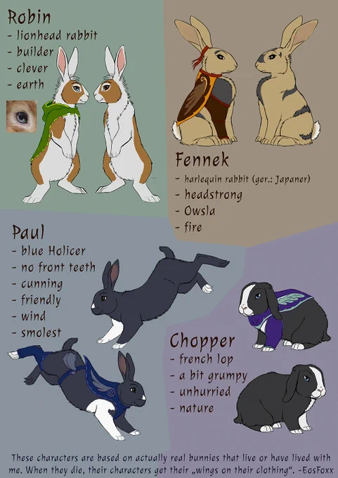 Thanks everyone for the condolences here. I had a few days offline and I'm starting to go back and reply to people. 
Grief needs time to heal and it was good I took the time. For a long time I had a "refsheet"with the bunnies in mind that I never drew so I finally did. 