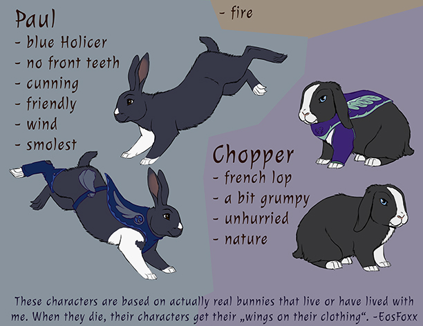 Thanks everyone for the condolences here. I had a few days offline and I'm starting to go back and reply to people.
Grief needs time to heal and it was good I took the time. For a long time I had a "refsheet"with the bunnies in mind that I never drew so I finally did.
