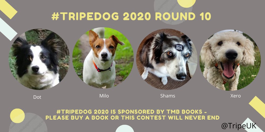 TripeUK's tweet photo. VOTING NOW OPEN IN ROUND 10 OF #TripeDog 2020!
Vote below βοΈπ½βοΈπ½βοΈπ½βοΈπ½ https://t.co/wPJxXv1zGO
