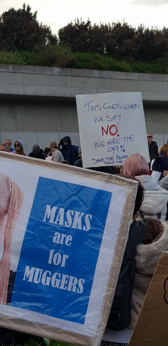 RealWayneReilly's tweet photo. #EdinburghProtest against #MandatoryMasks 
#MandatoryVaccines
#NoMoreLockDowns
#Savingscotland @DundeeResists https://t.co/PtoMNxQezs