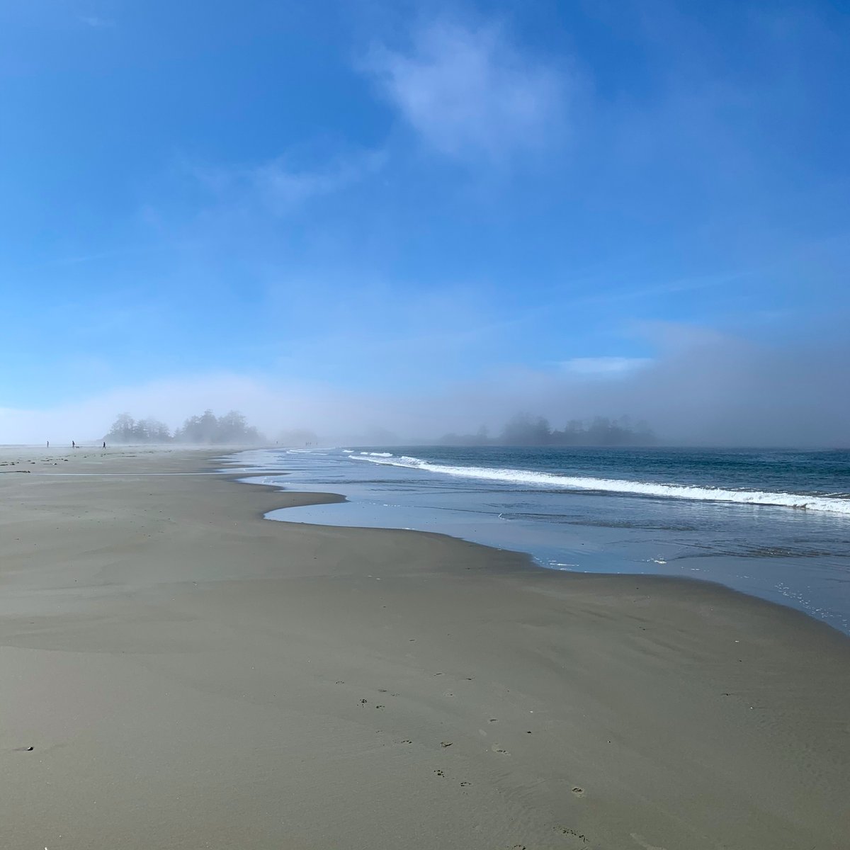 Beach parking fogged up? Let us bring you there. Just Whistle! Download the app and go... whistle.ca/app