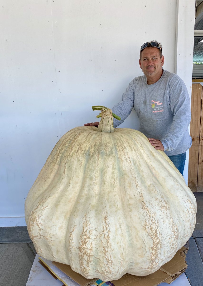 TheBerryPatchNC's tweet photo. Come to The Berry Patch and see this 860 pound pumpkin grown by Paul Novak and Alice Kaulfers!
#worldslargeststrawberry #theberrypatch #ellerbe #exit25 https://t.co/rCb7vxEFzX
