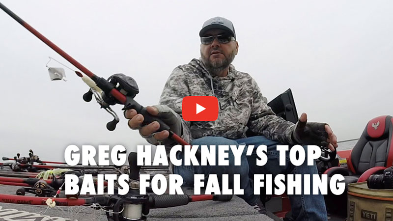 mshuntnfish's tweet photo. Bass pro Greg Hackney details his top baits and rod and reel selections for fall fishing -- #fallfishing #fishing #bass #bassfishing #GregHackney https://t.co/5zAurNqMkg https://t.co/jmLoIHrbRI