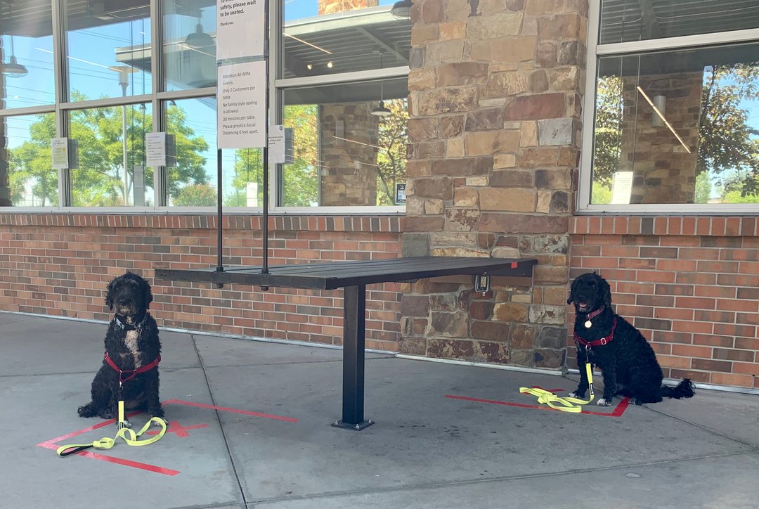 That time Portuguese Water Dogs Social Distance at Whole Foods. . . . . .