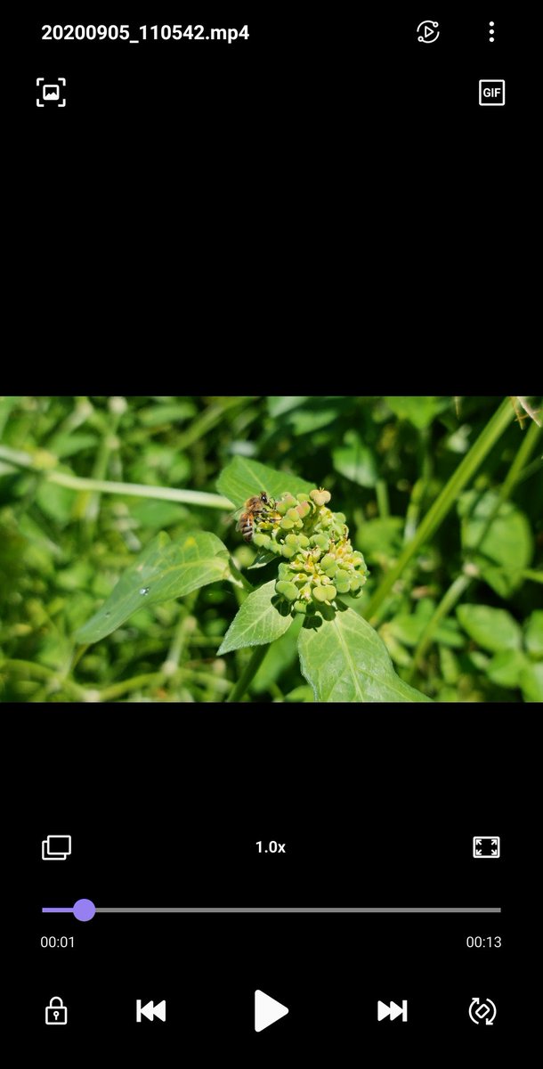 When you can zoom into a video and take a screenshot and have it look so clean. 8K with the <a href="/SamsungCRBN/">Samsung Caribbean</a> #GalaxyNote20Ultra is super clean
 <a href="/SamsungMobile/">Samsung Mobile</a> #TeamGalaxy #WithGalaxy