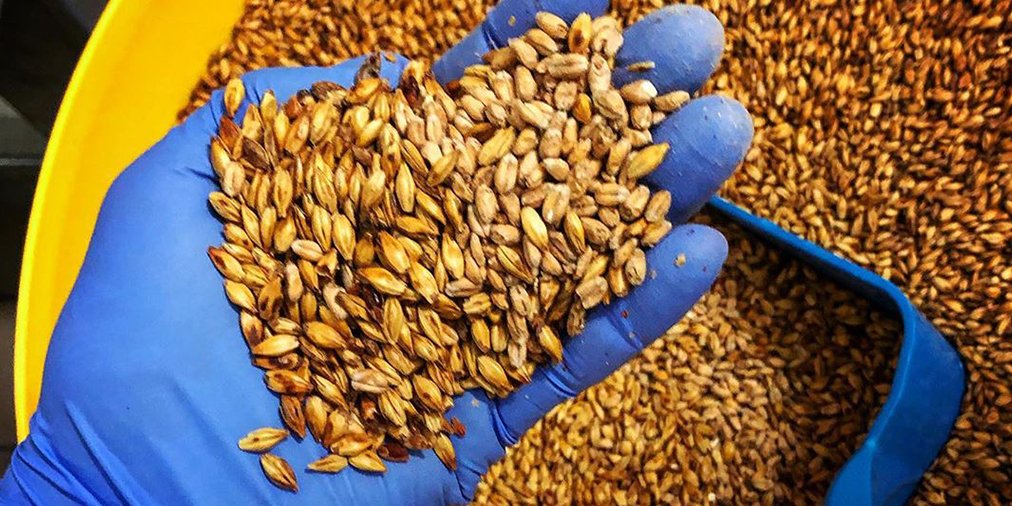 #SaturdayShoutout to Alex using #CrispMalt #Caramalt, one of our coloured malts that features a delicious sweet #caramel flavour. 📍 @ldnfldsbrewery 🍺
Find out more about this popular #brewingmalt, including some suggested #beerrecipes ➡️ bit.ly/320js7b