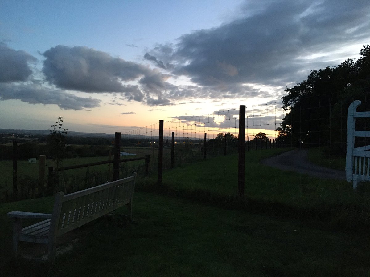 MacPerkins's tweet photo. @sobellhouse night walk completed 11 miles #walkthenight https://t.co/y5GJah3rzd