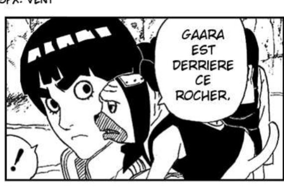 WHAT DO YOU MEAN IN THE MANGA PAKKUN IS ON LEE'S SHOULDER!!!!!!!!!!! I CANT BELIEVE THEY DIDNT INCLUDE THIS IN THE ANIME