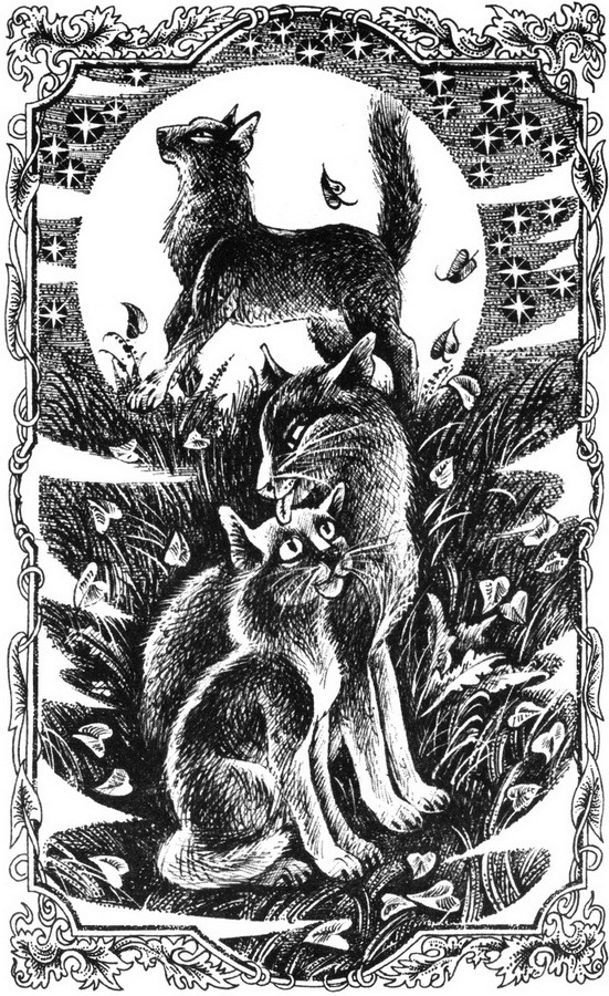 Юность грома. Юность грома. Юность грома. Юность грома. Юность грома эрин хантер книга.