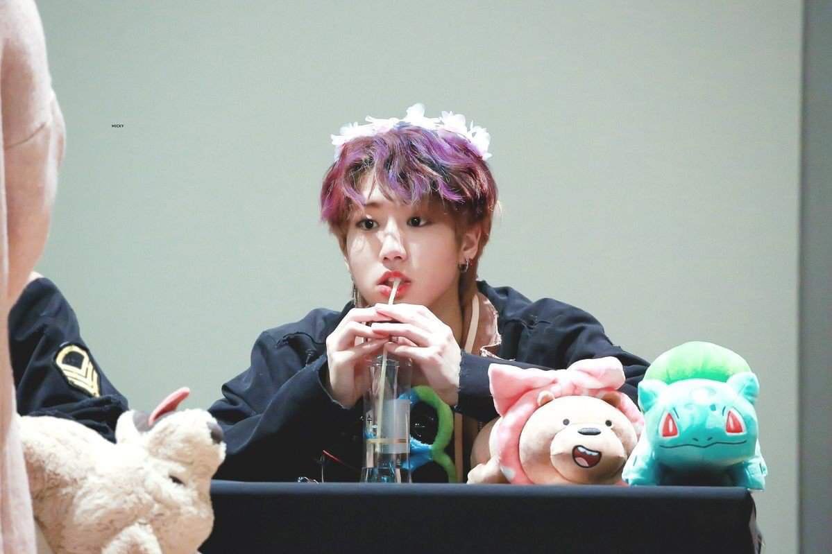 here's a tiny thread of han jisung with some plushies bc i need the serotonin