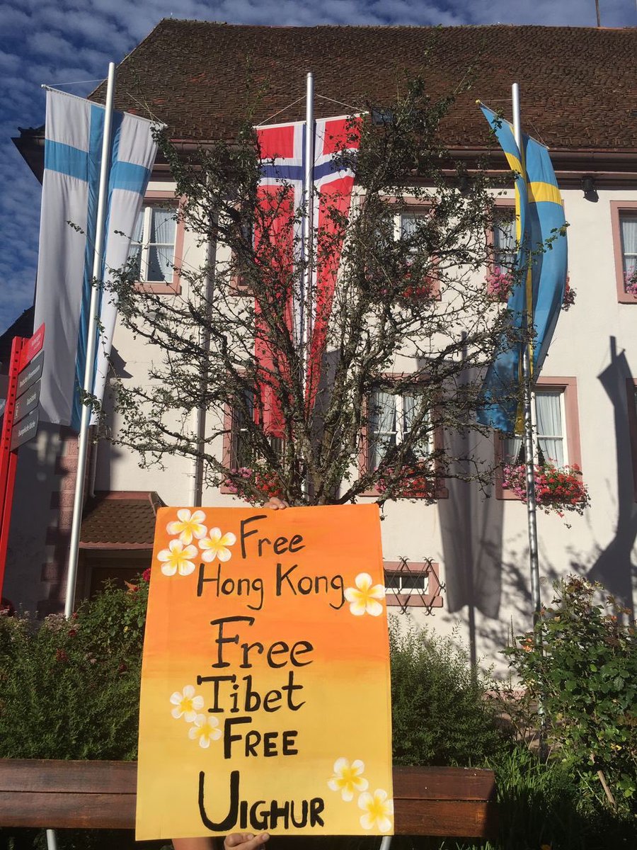 HongkongerV's tweet photo. Yesterday we continued our action in Berlin, Düsseldorf, and Furtwangen to #StandWithHongKong. Fighting for freedom has become part of our lives. #FridaysForFreedom 
@NOW4humanity https://t.co/gwYh19bHtO