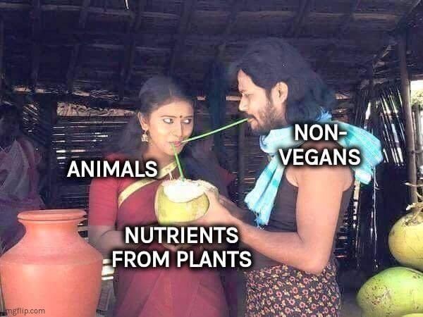 frasier_hal's tweet photo. Non vegans https://t.co/FxiZoNCvkf