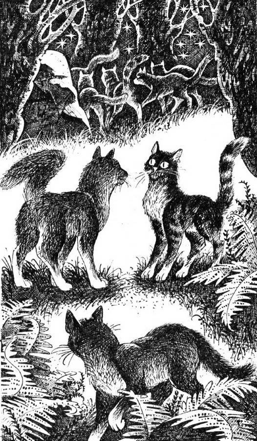 коты воители звездная ночь. коты воители сверкающая звезда. коты воители синяя звезда в звездном племени. хантер, эрин. коты воители.