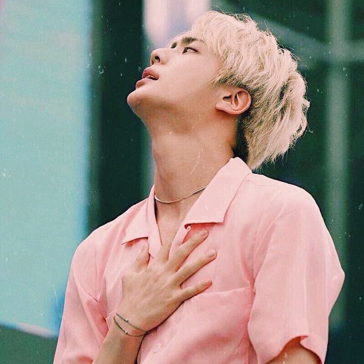 fire era seokjin