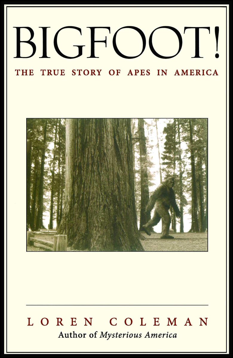 By January 2001, the photos were being passed round the Sarasota Sheriff’s Department and were regarded as a bit of a joke. We owe the most detailed account of their backstory to Loren Coleman’s 2003 Bigfoot! The True Story of Apes in America, which I used heavily here…