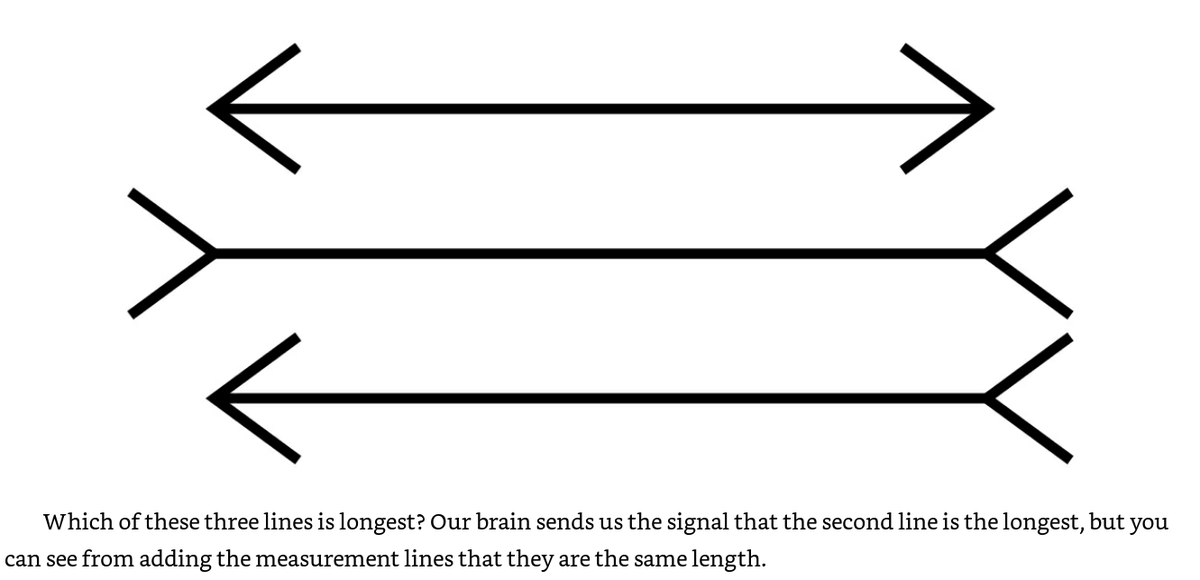 10/ "We have defaults we rarely examine, from gripping a pencil to swerving to avoid an auto accident."Being aware of irrational behavior and wanting to change is not enough, just as knowing that you are looking at a visual illusion is not enough to make the illusion go away."