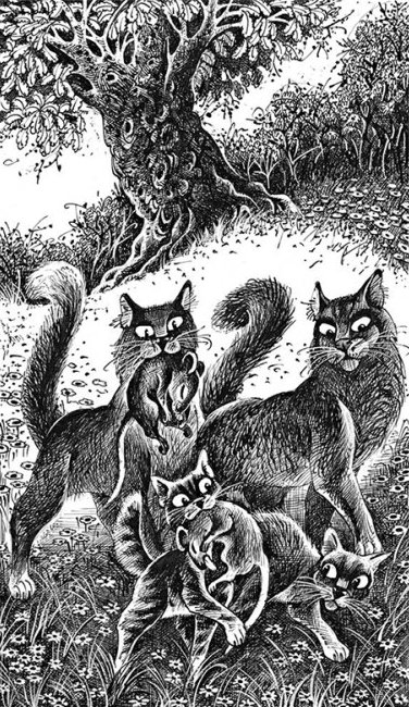 Приключения ольхолапа читать. Коты Воители приключения Ольхолапа. Коты Воители книга приключения Ольхолапа. Коты Воители Ольхолап. Коты Воители путешествие Ольхолапа.